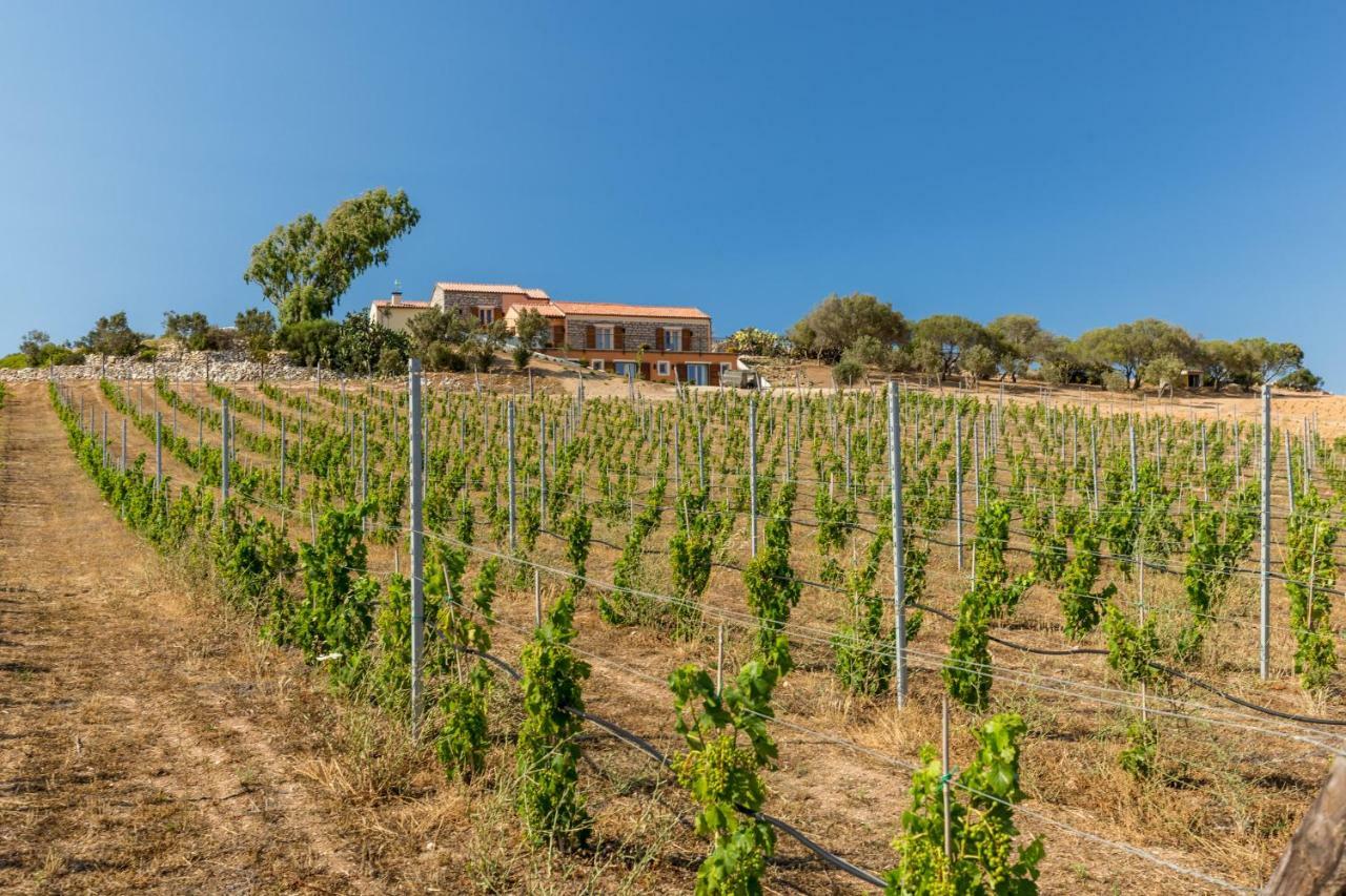 Tenuta Petra Bianca Palau Ngoại thất bức ảnh