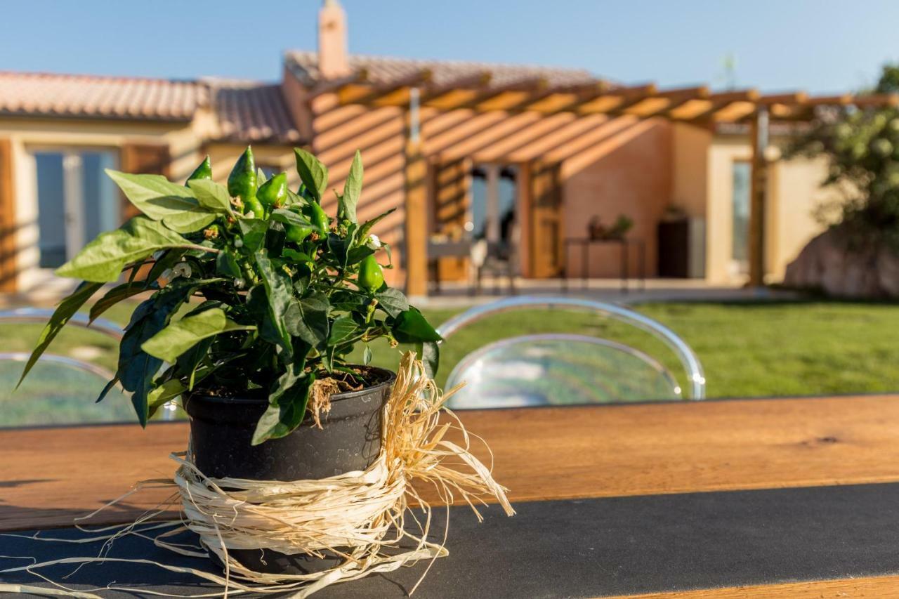 Tenuta Petra Bianca Palau Ngoại thất bức ảnh
