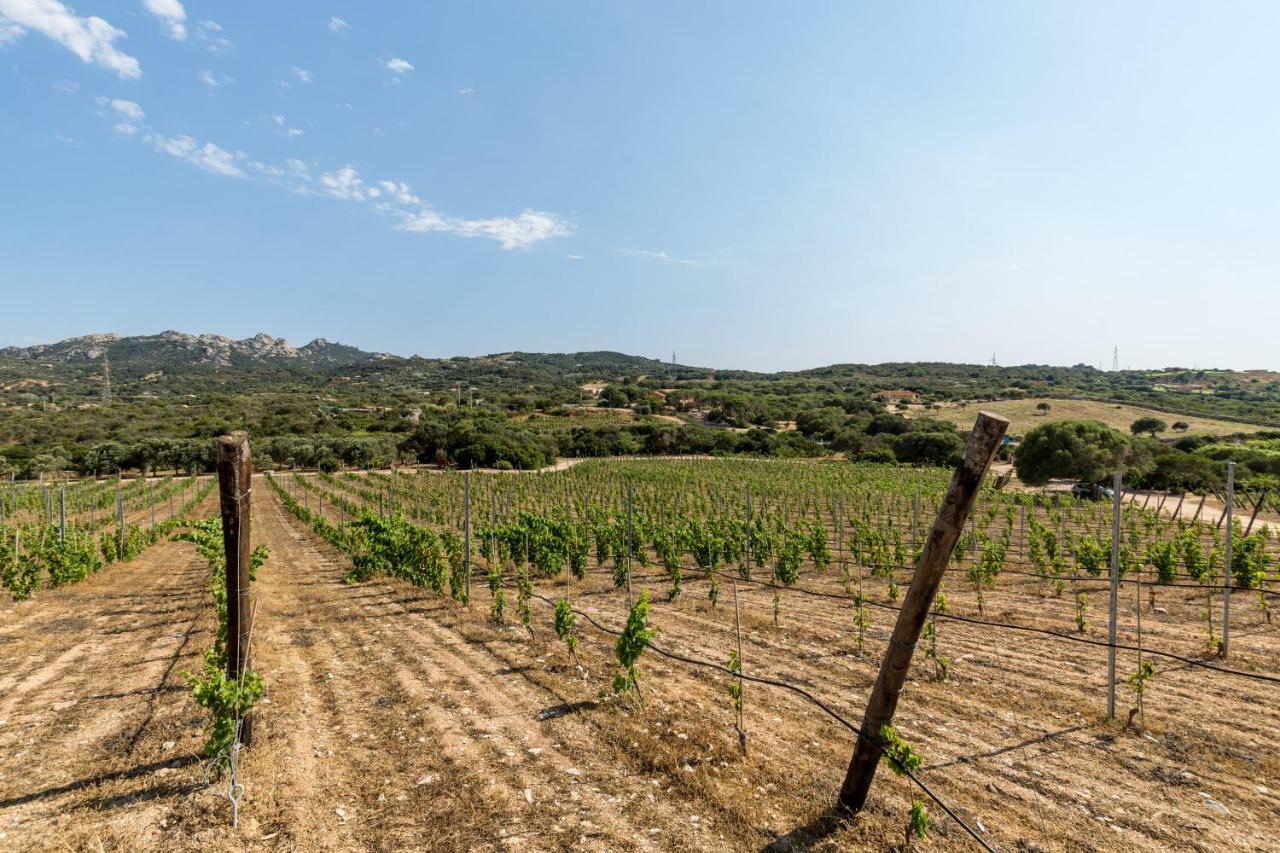 Tenuta Petra Bianca Palau Ngoại thất bức ảnh